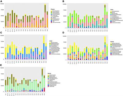Regulation of sleep disorders in patients with traumatic brain injury by intestinal flora based on the background of brain-gut axis